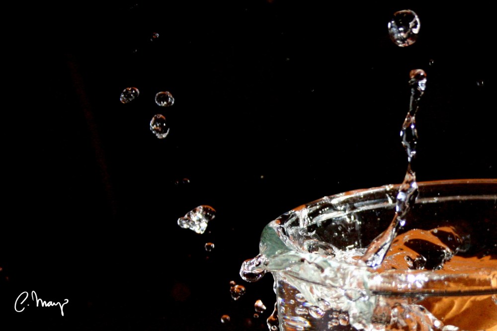 16488247109_b231679dc0