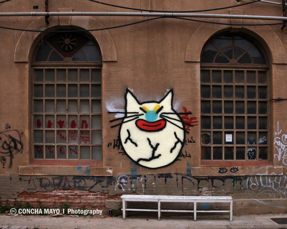 GRAFITI GATO cf